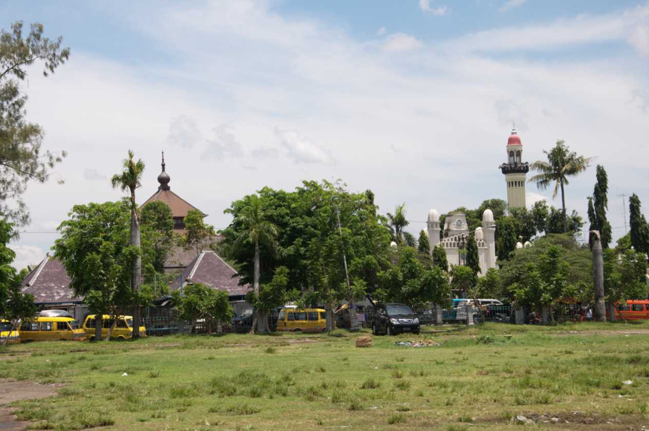 07 indo2010-042