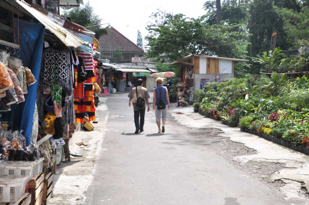 07 indo2010-072