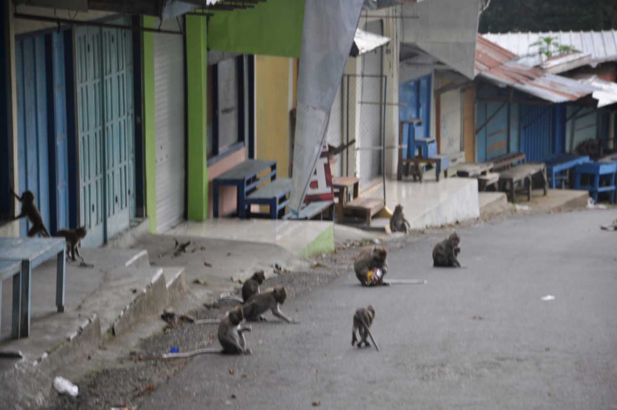07 indo2010-073