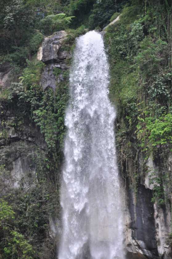 07 indo2010-079