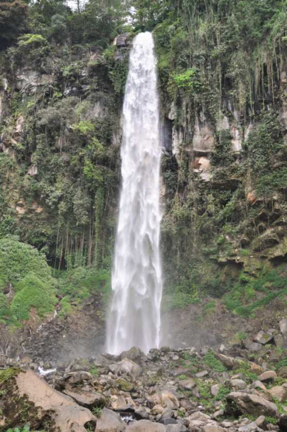 07 indo2010-082