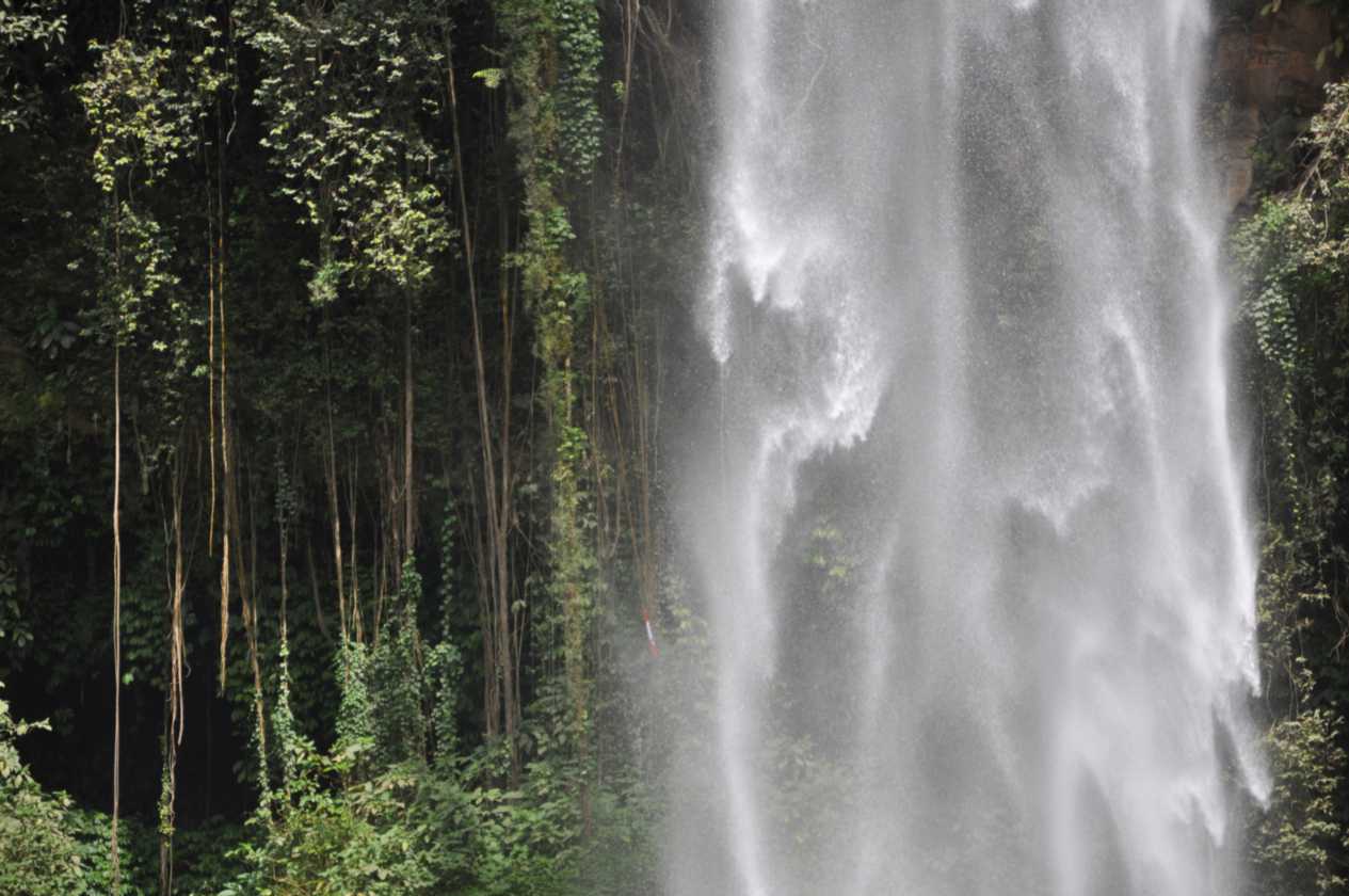 07 indo2010-083