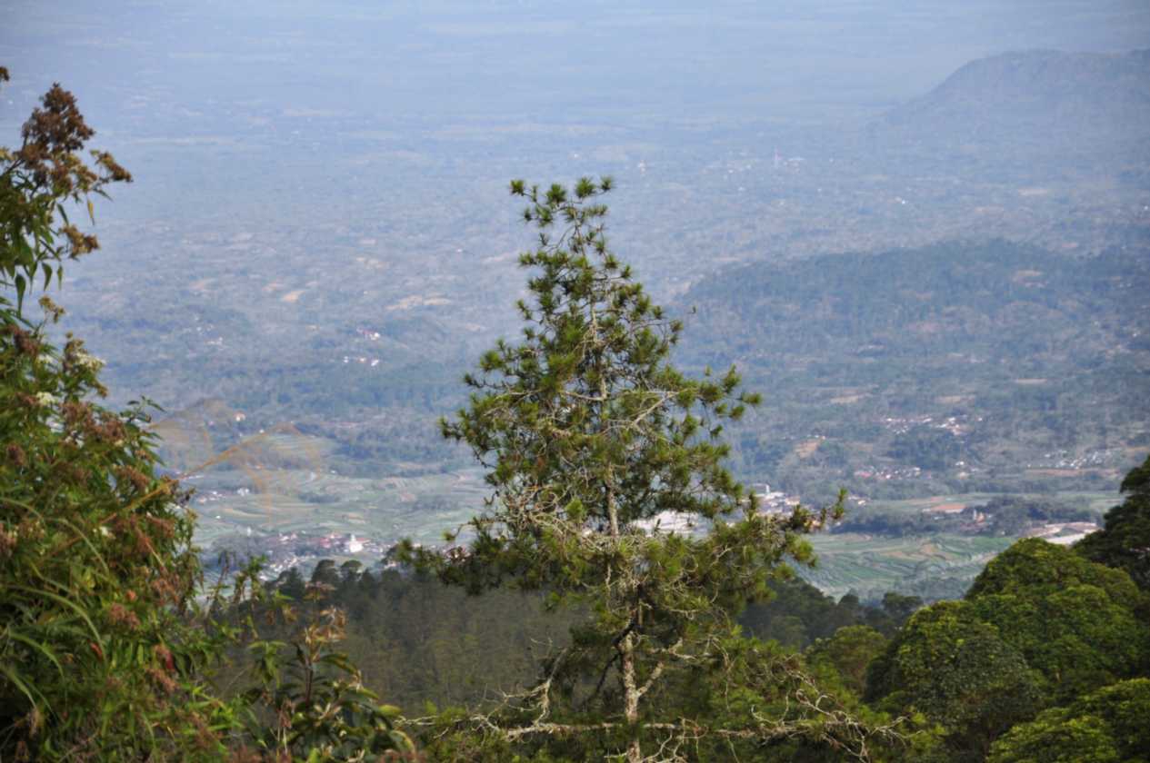 07 indo2010-091