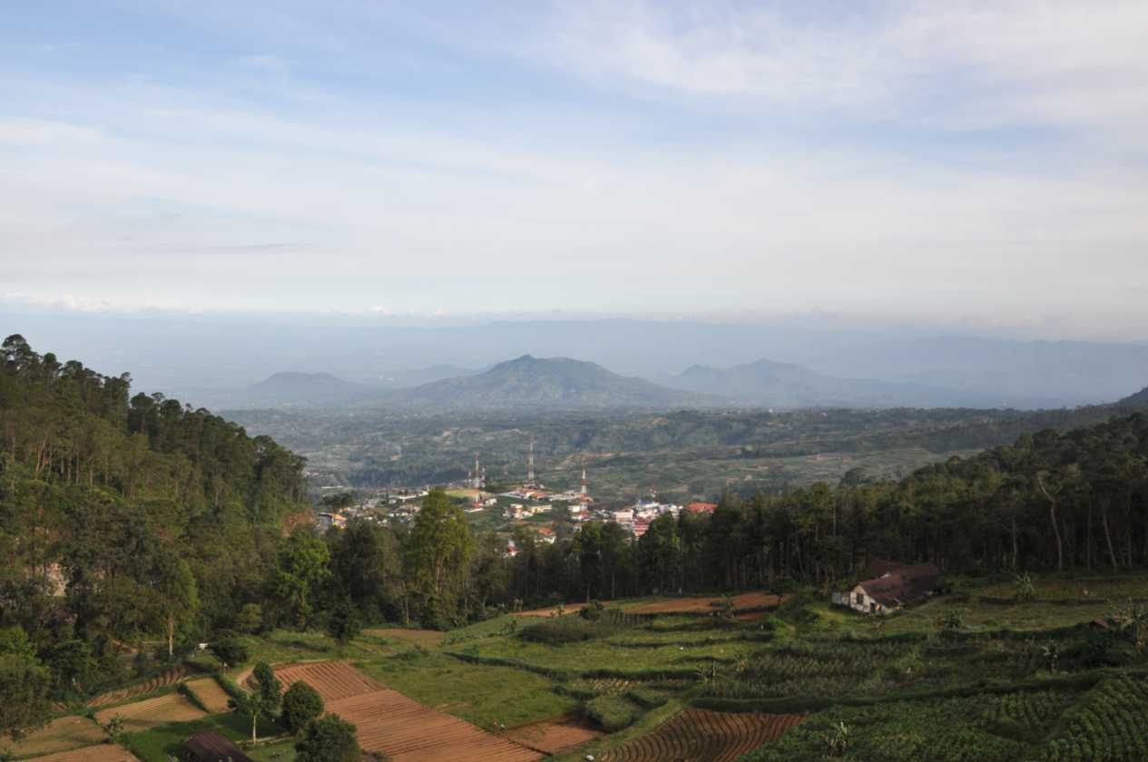 07 indo2010-094