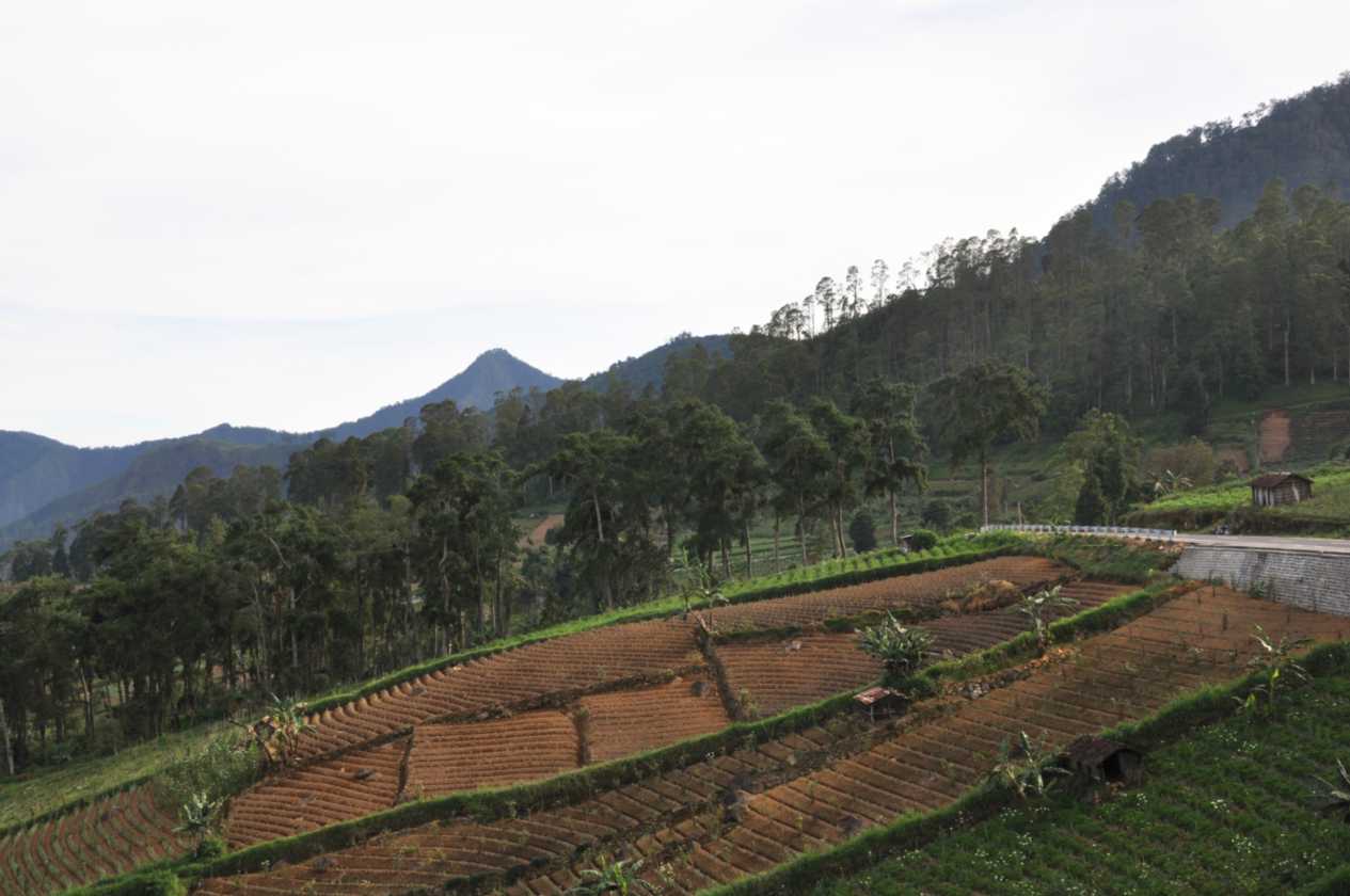 07 indo2010-096