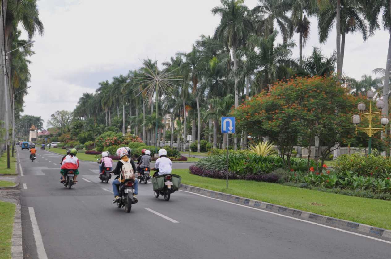 08 indo2010-001