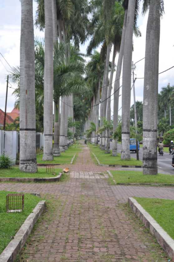 08 indo2010-002