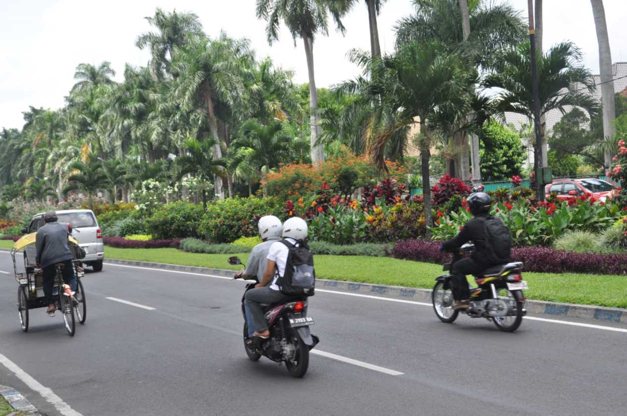 08 indo2010-008