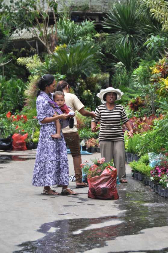 08 indo2010-058