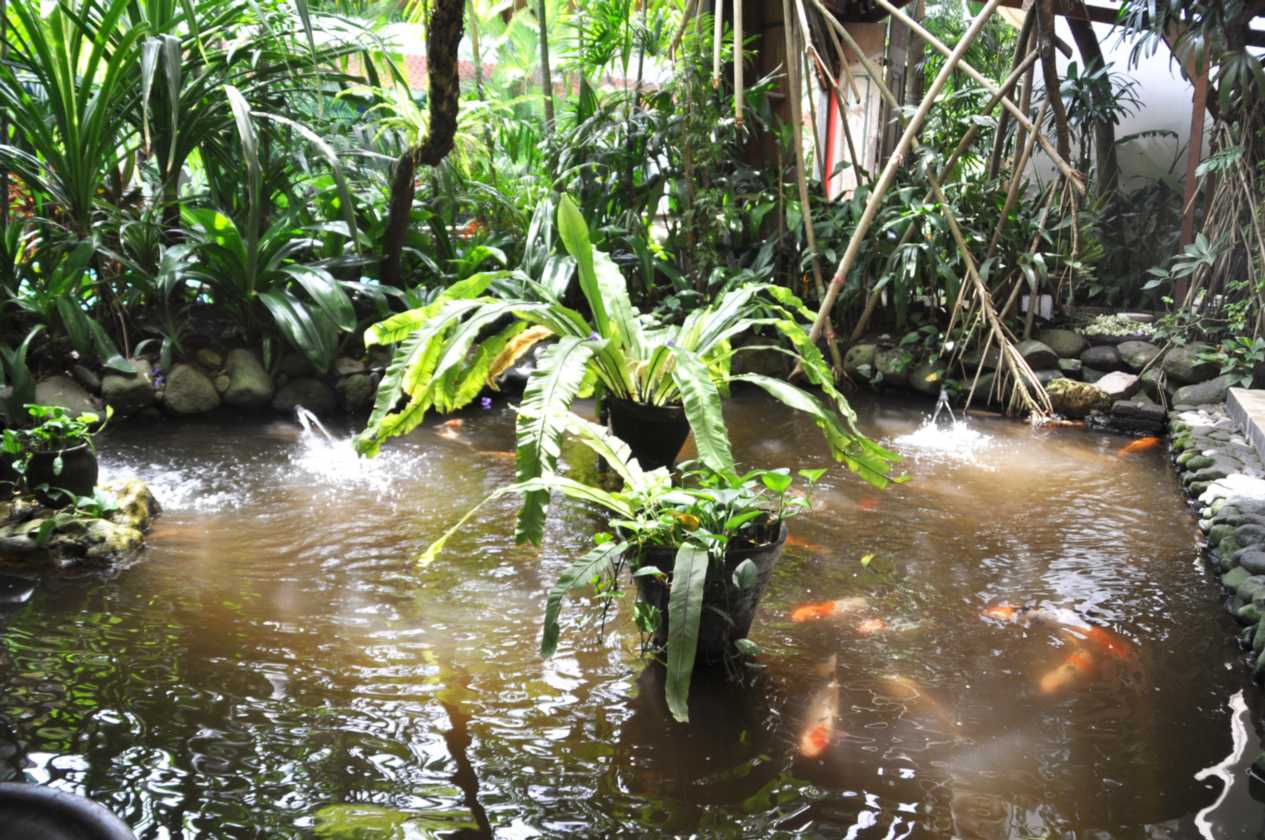 08 indo2010-077
