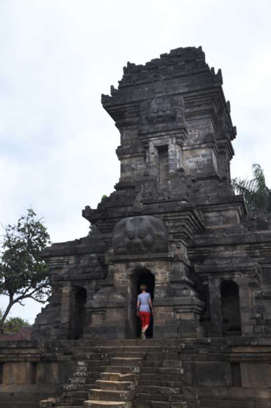 08 indo2010-094