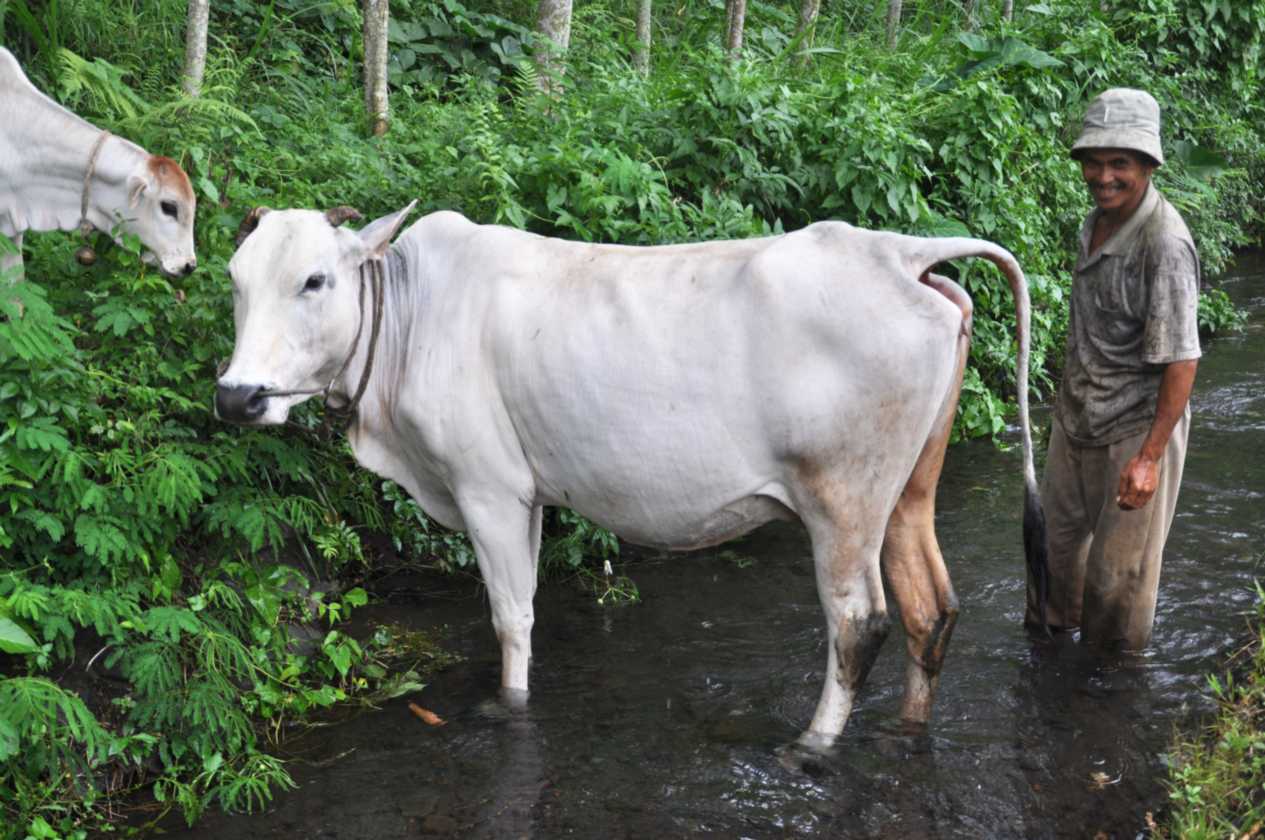 08 indo2010-110