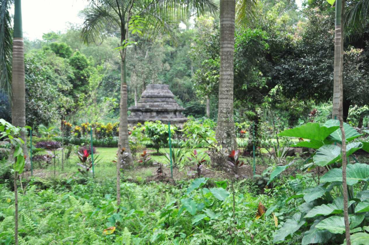 08 indo2010-120