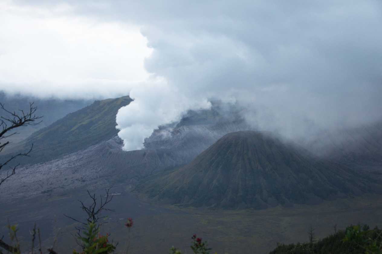 09 indo2010-14