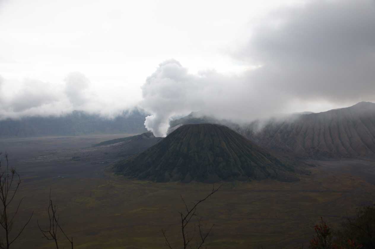 09 indo2010-18
