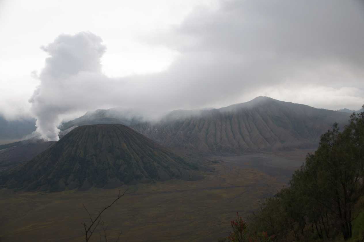 09 indo2010-20