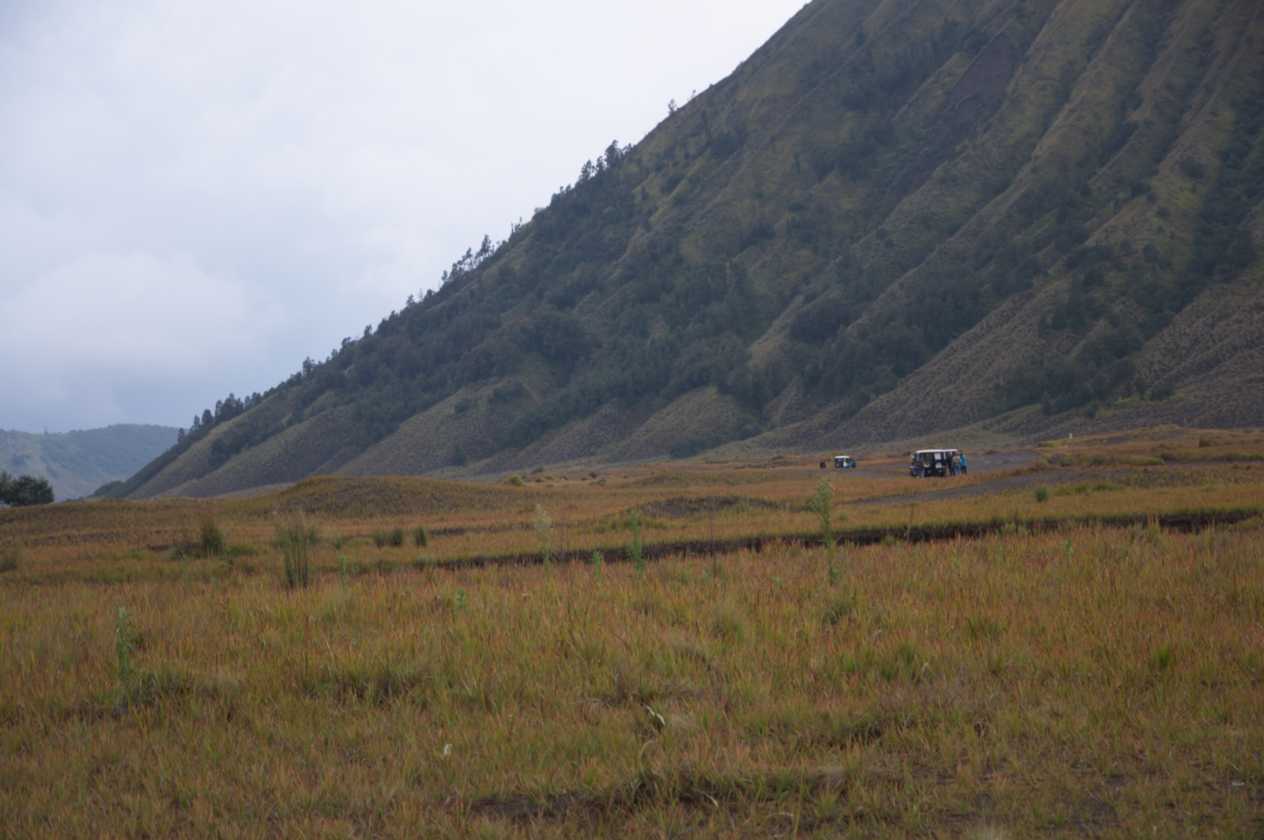 09 indo2010-22