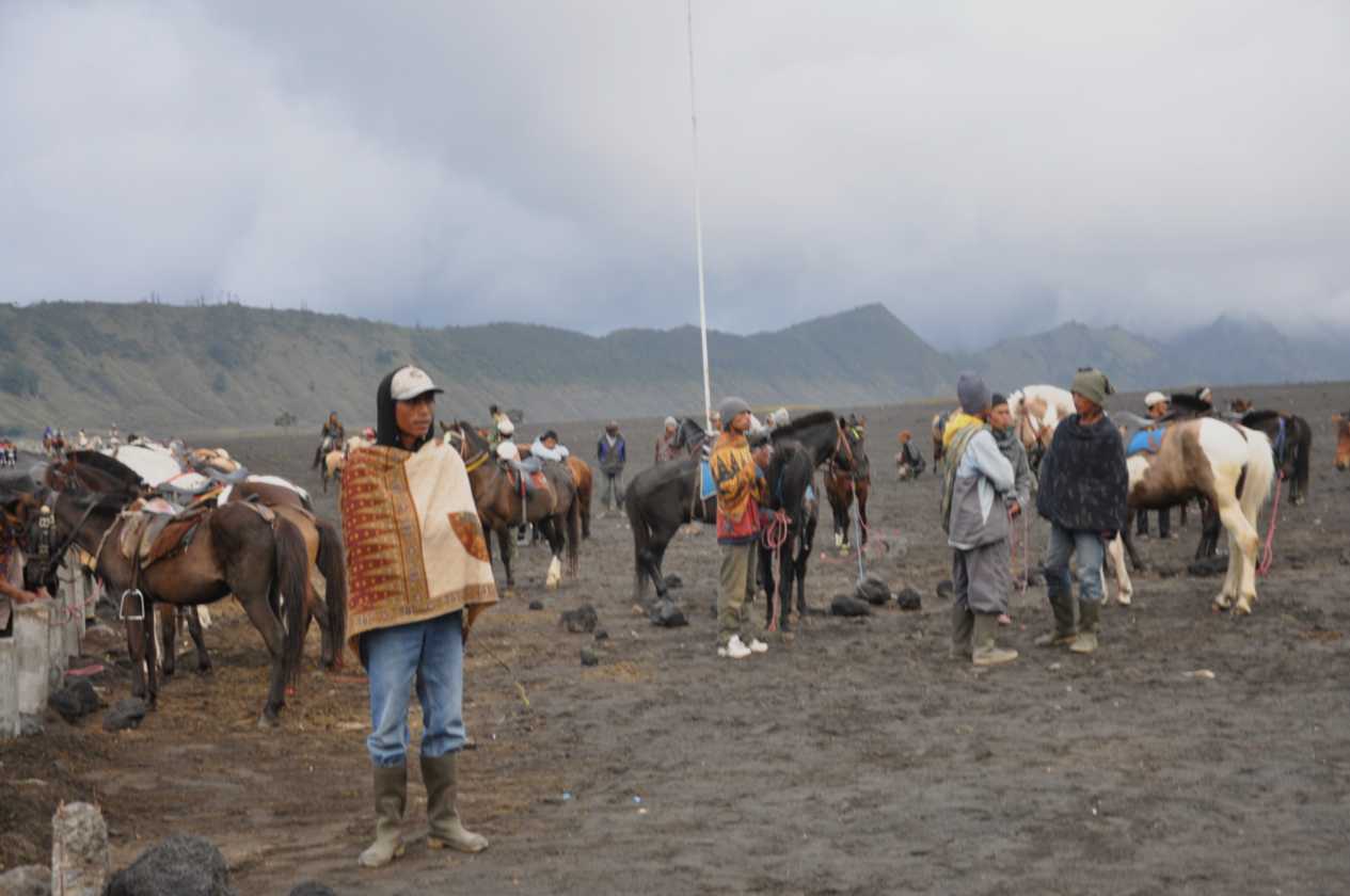 09 indo2010-26