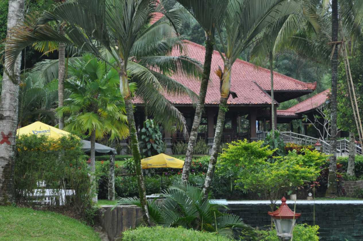 09 indo2010-59