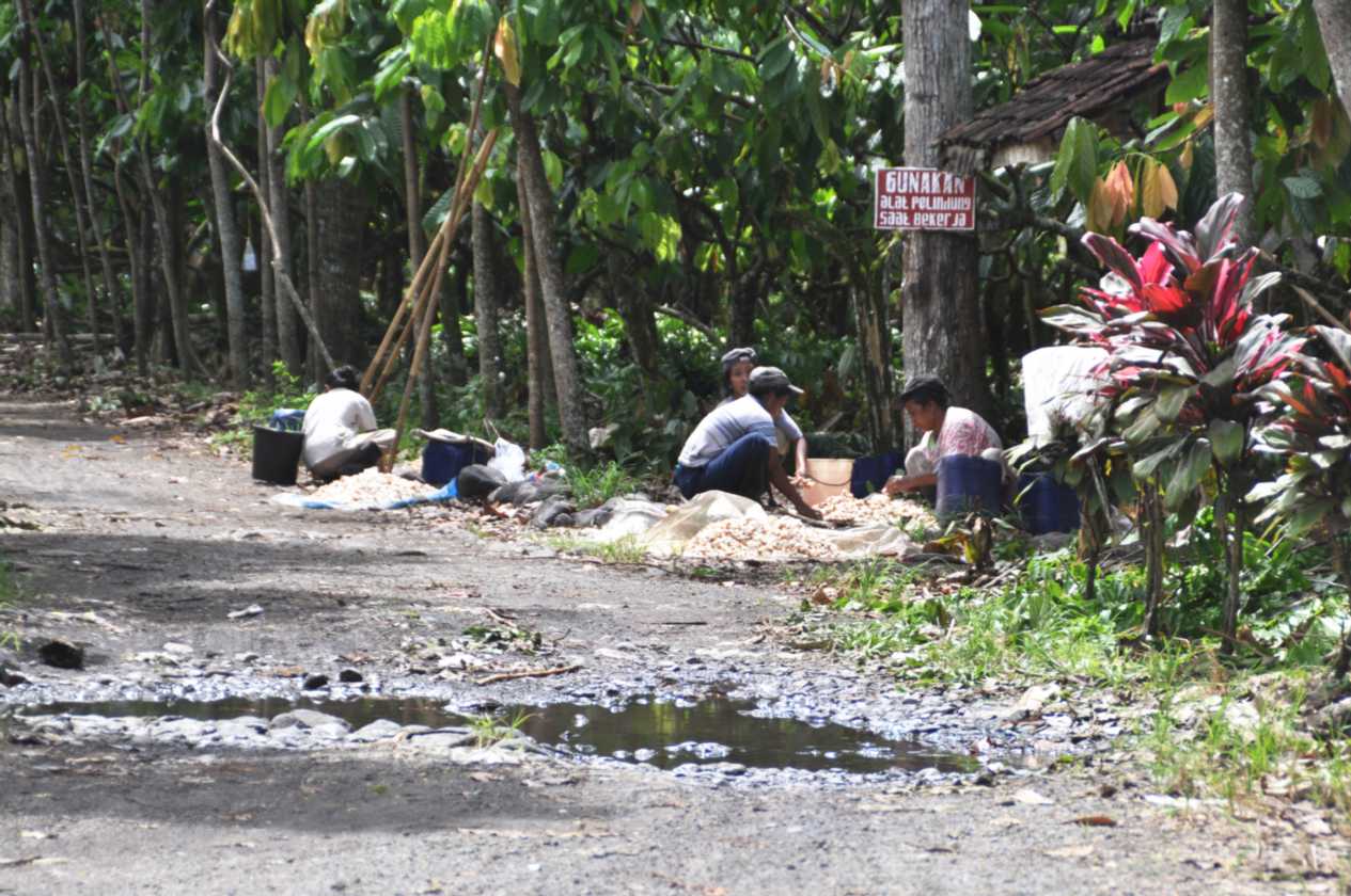 10 indo2010-18