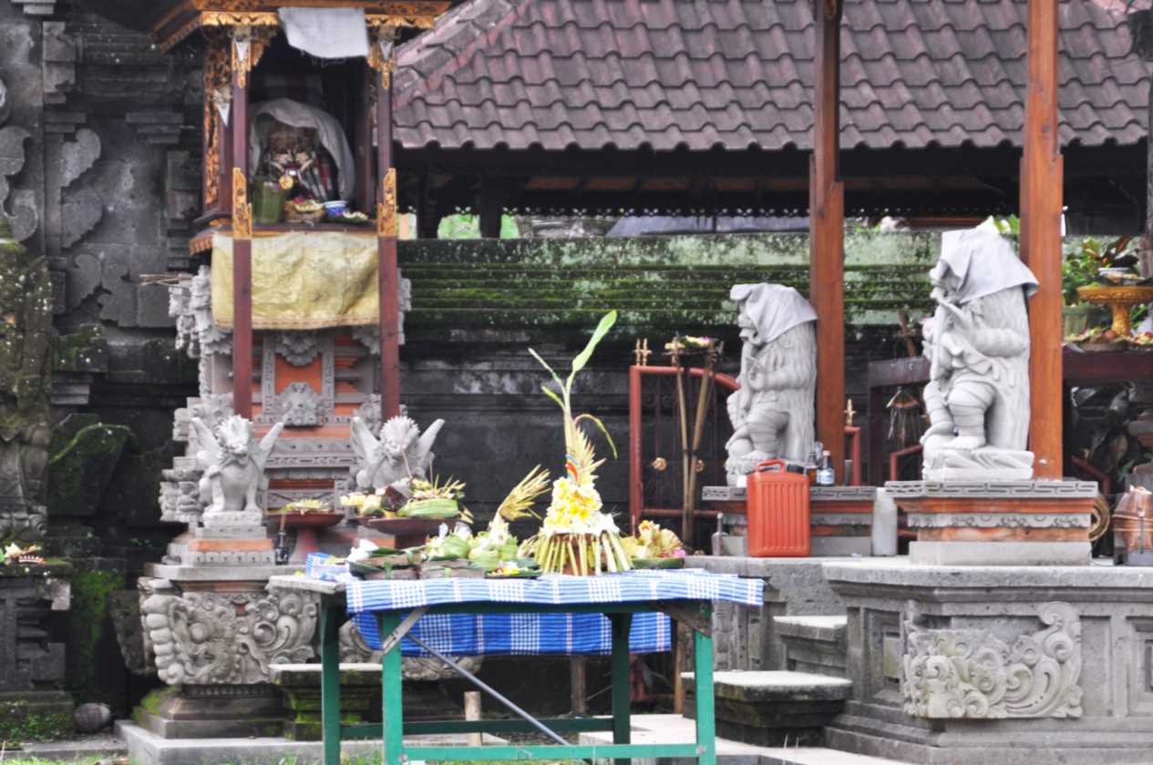 10 indo2010-33