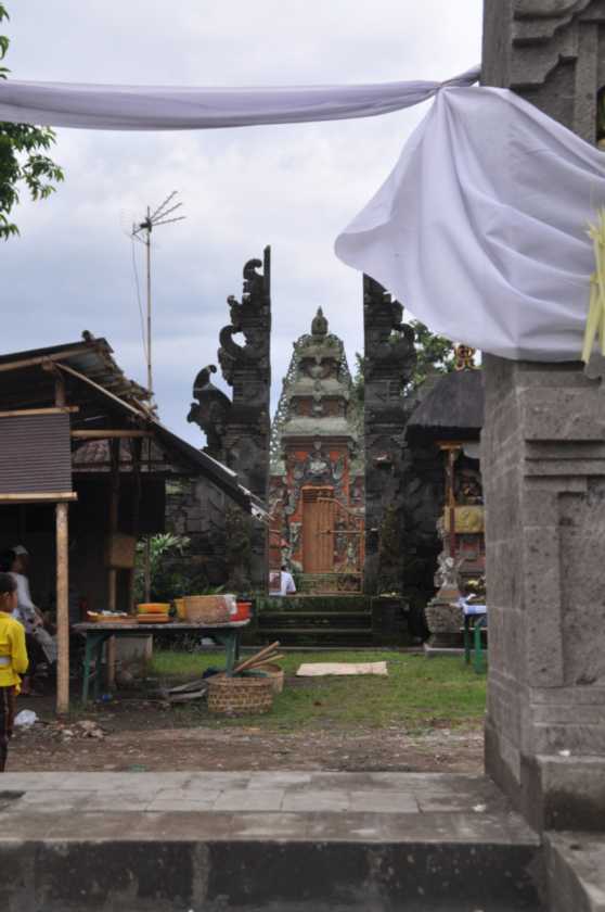 10 indo2010-36
