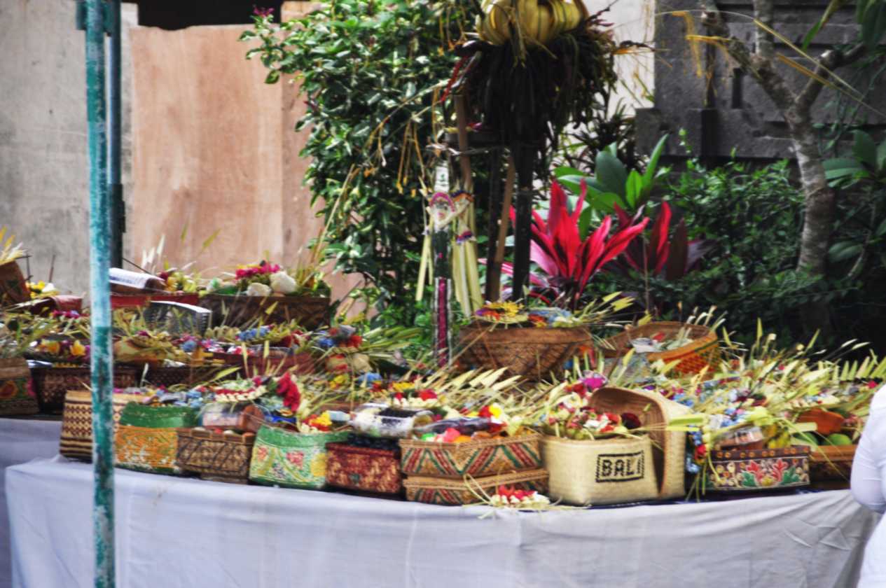 10 indo2010-37