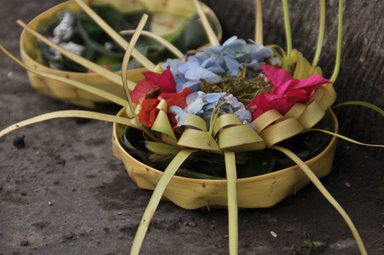 10 indo2010-38