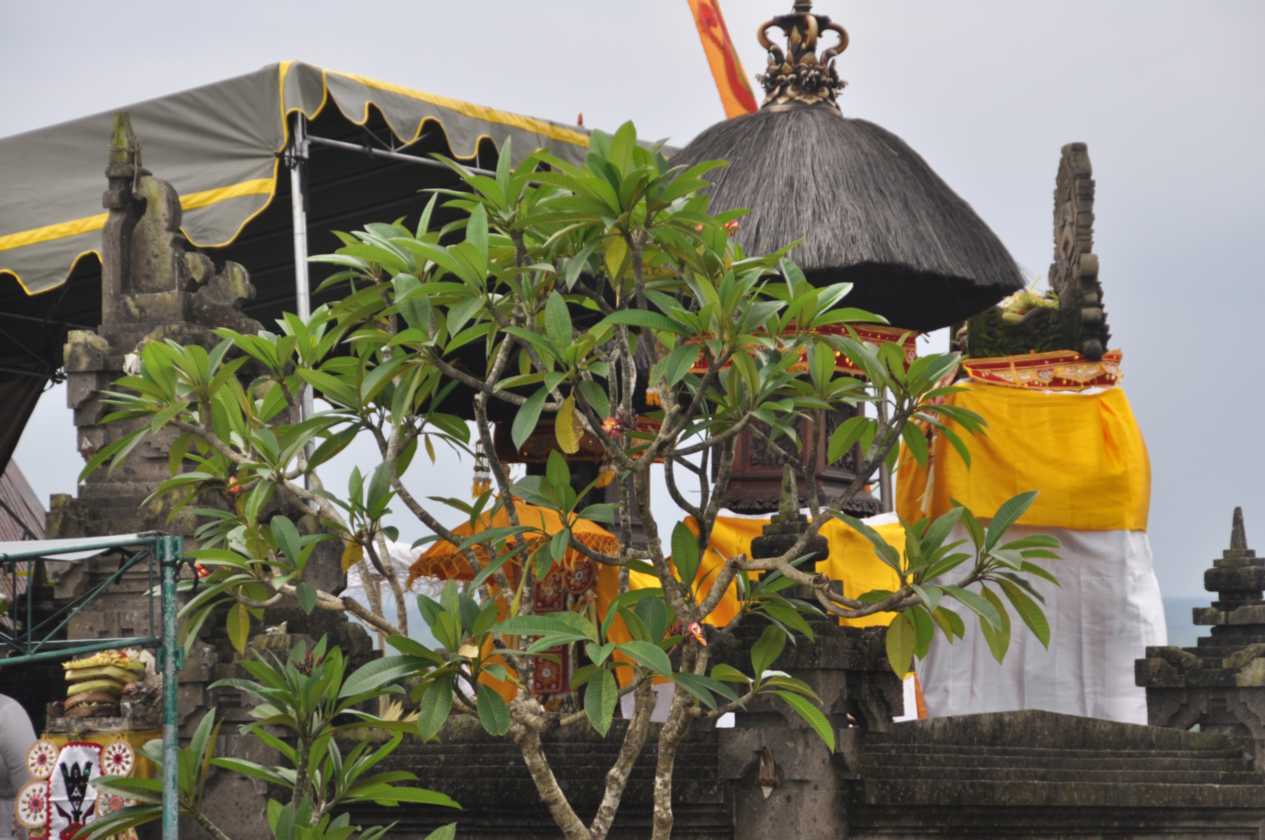 10 indo2010-39