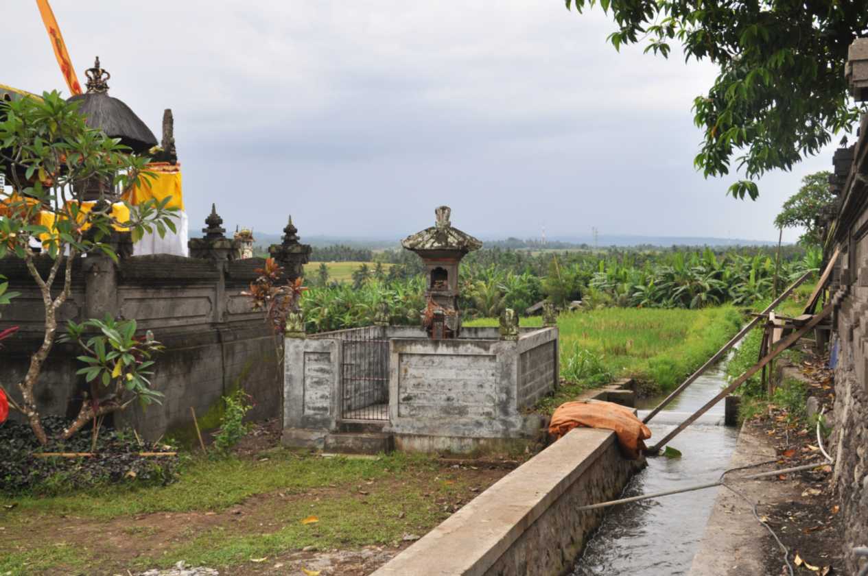 10 indo2010-41