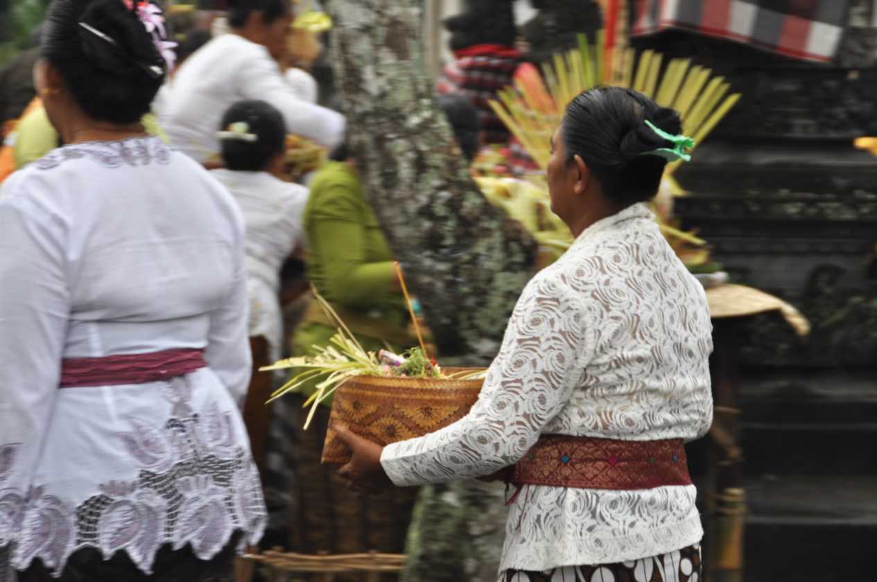 10 indo2010-44