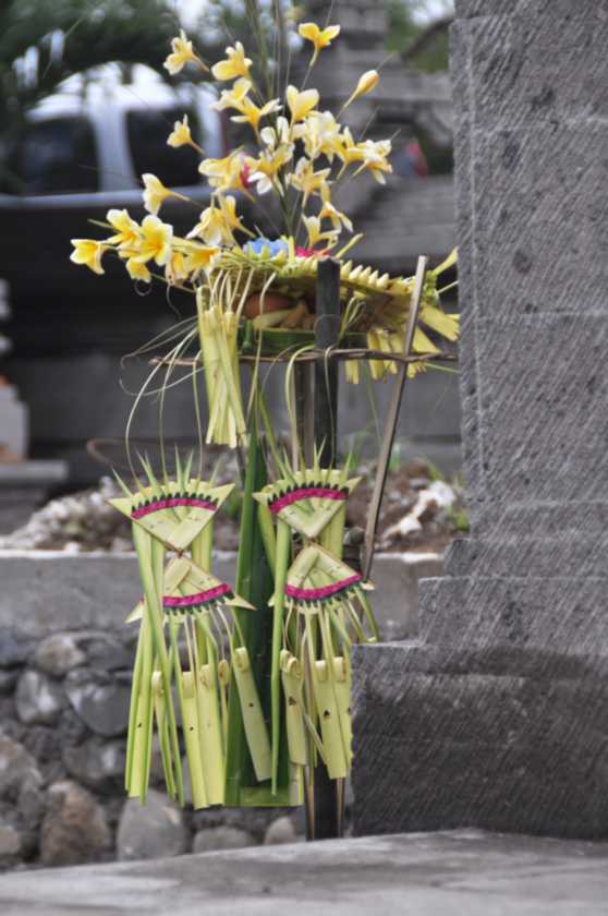 10 indo2010-45