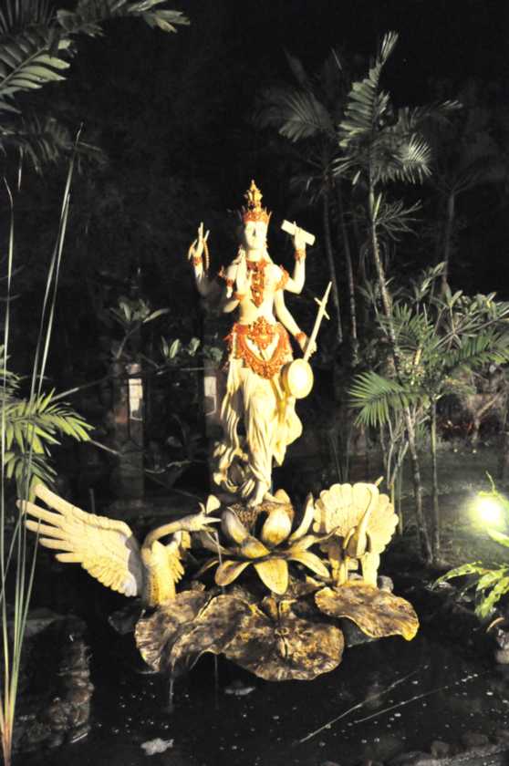 10 indo2010-51