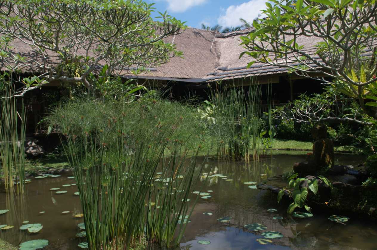 11 indo2010-002