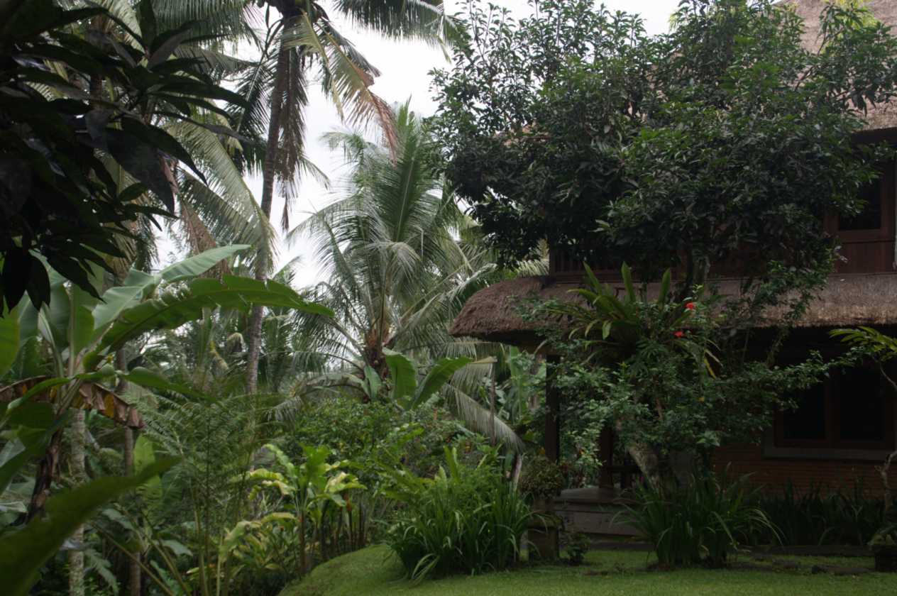 11 indo2010-003