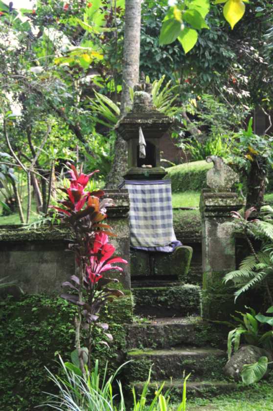 11 indo2010-012