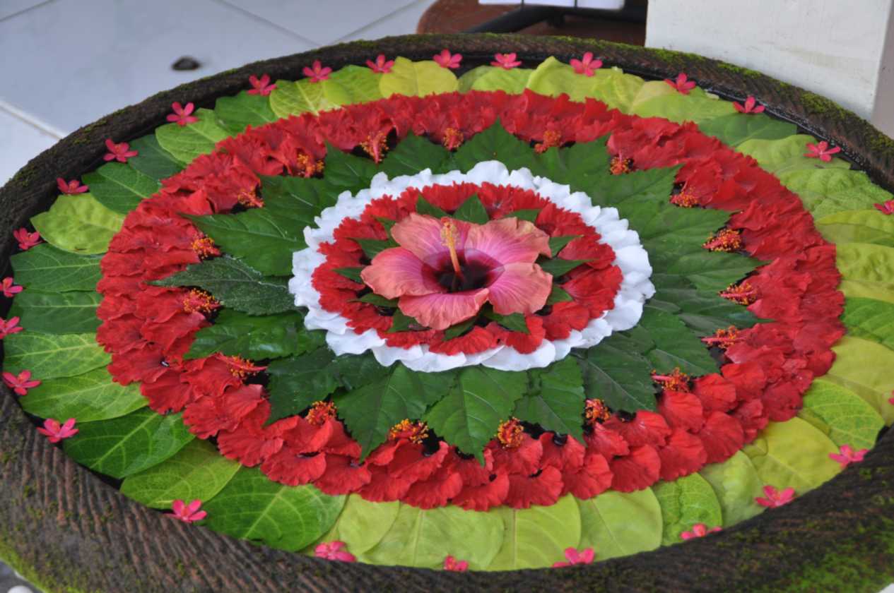 11 indo2010-029