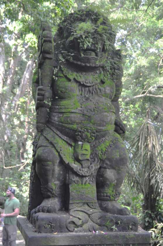 11 indo2010-030