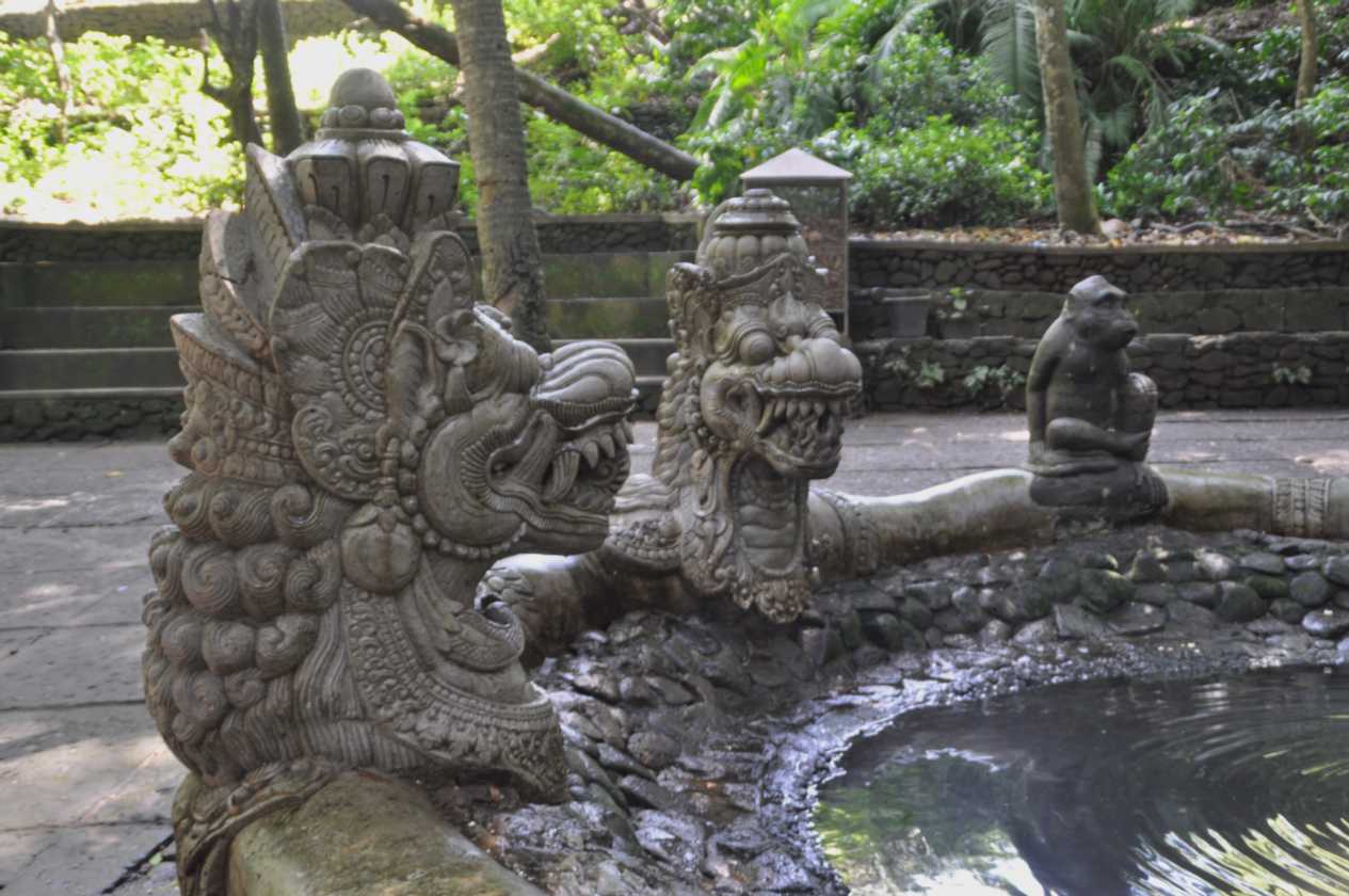 11 indo2010-033