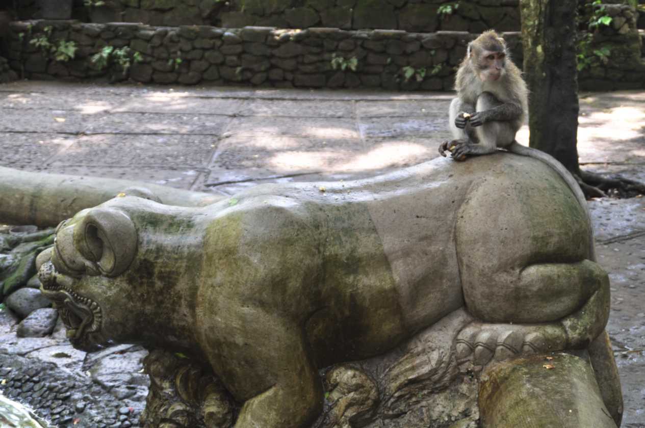 11 indo2010-034
