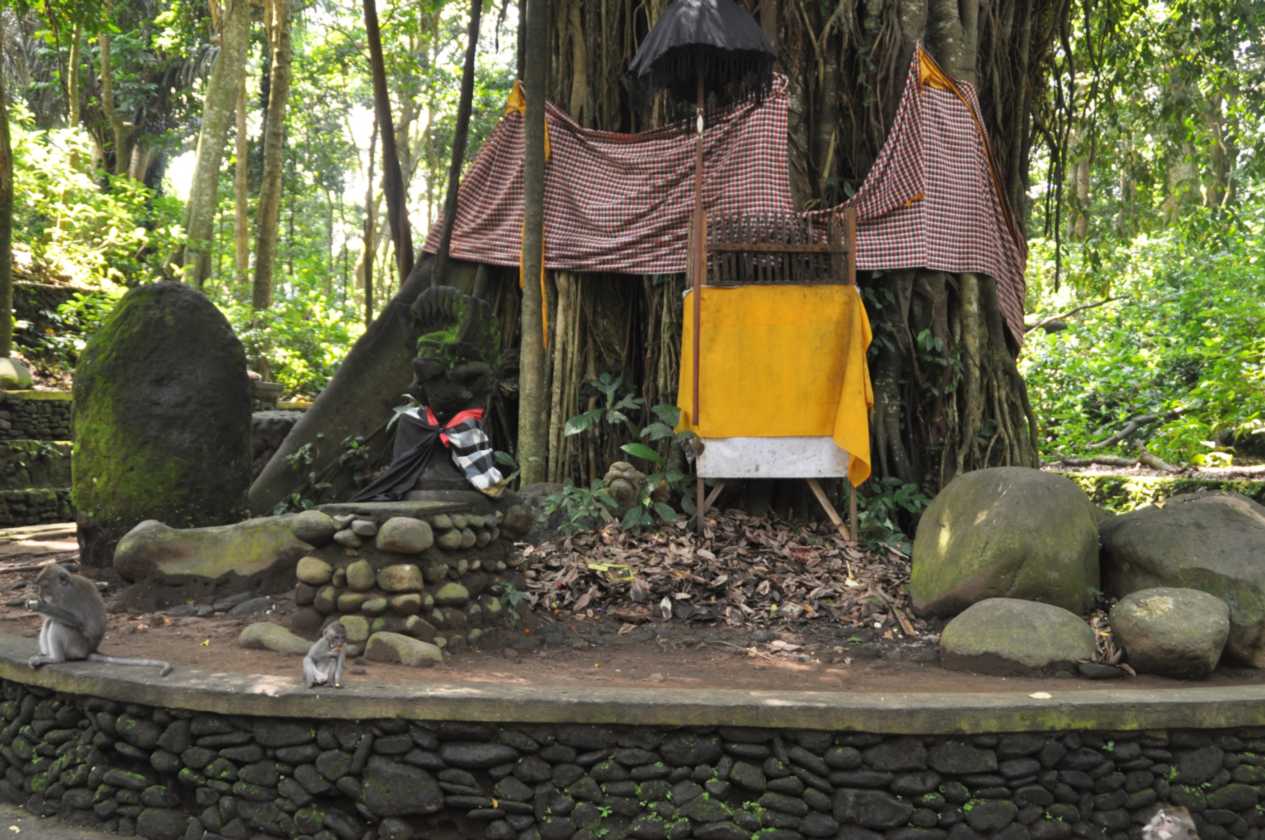11 indo2010-035