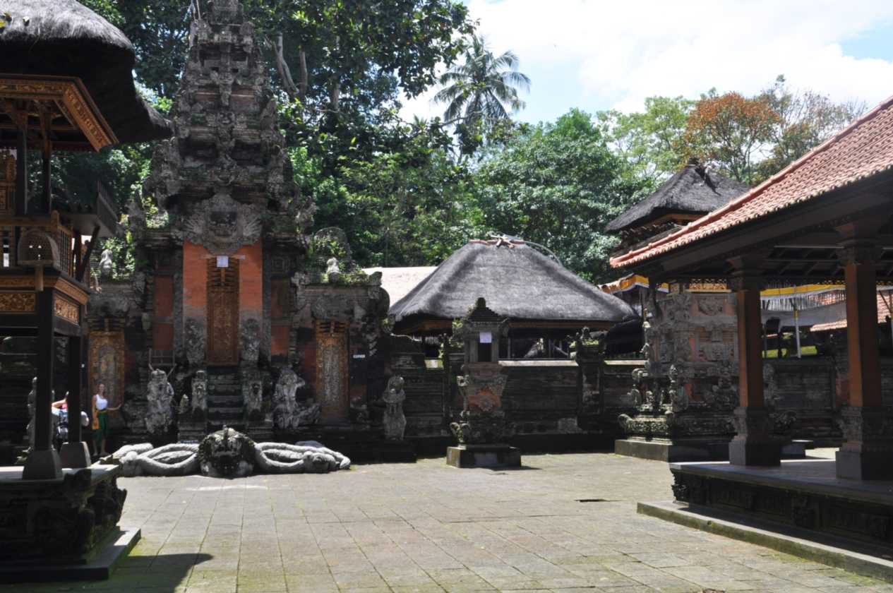 11 indo2010-038
