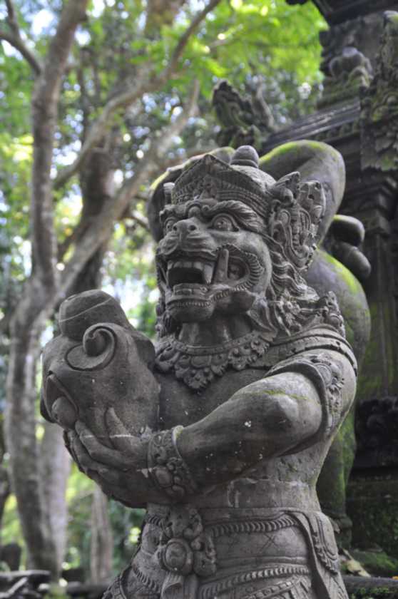 11 indo2010-041