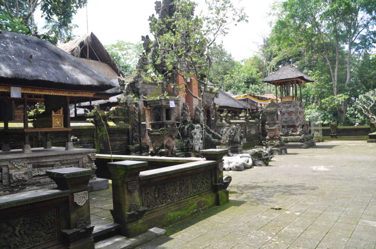 11 indo2010-042