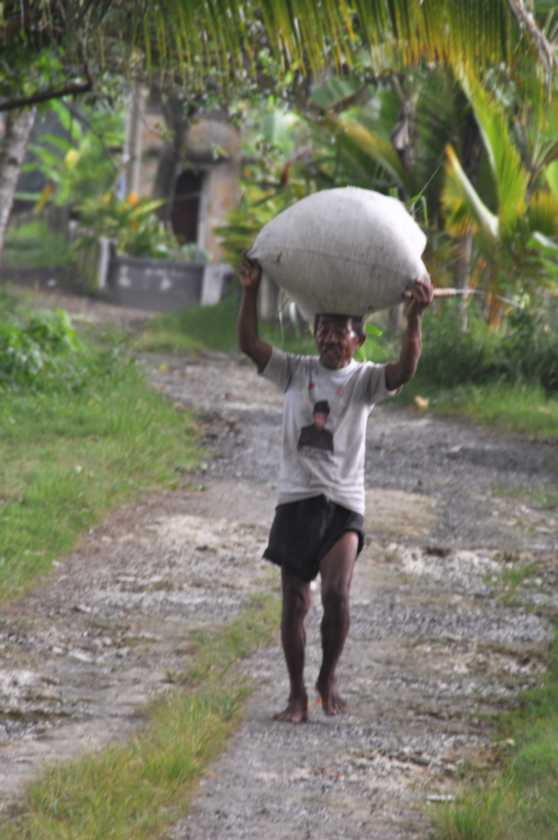 11 indo2010-067