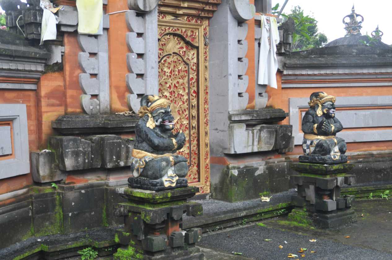 11 indo2010-070