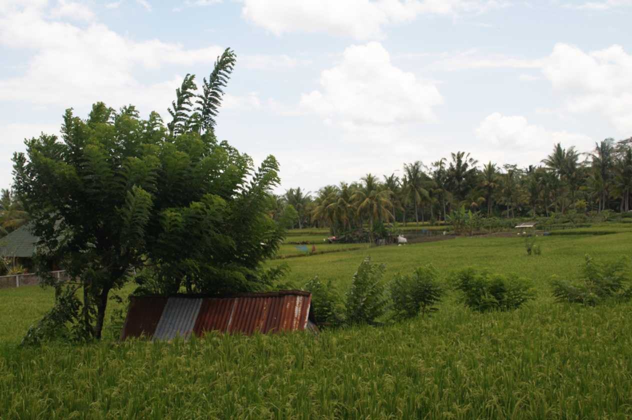 11 indo2010-136