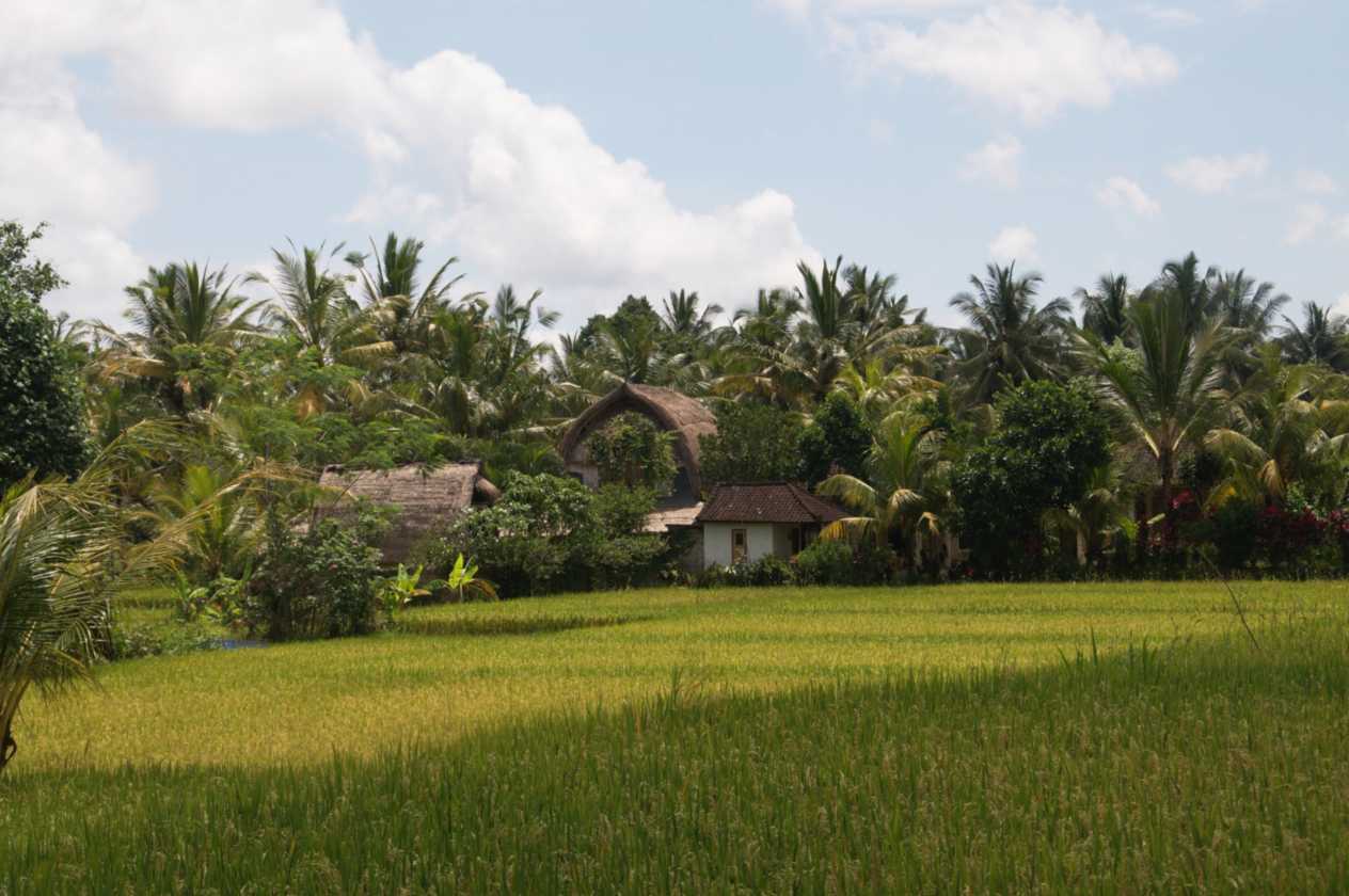 11 indo2010-137