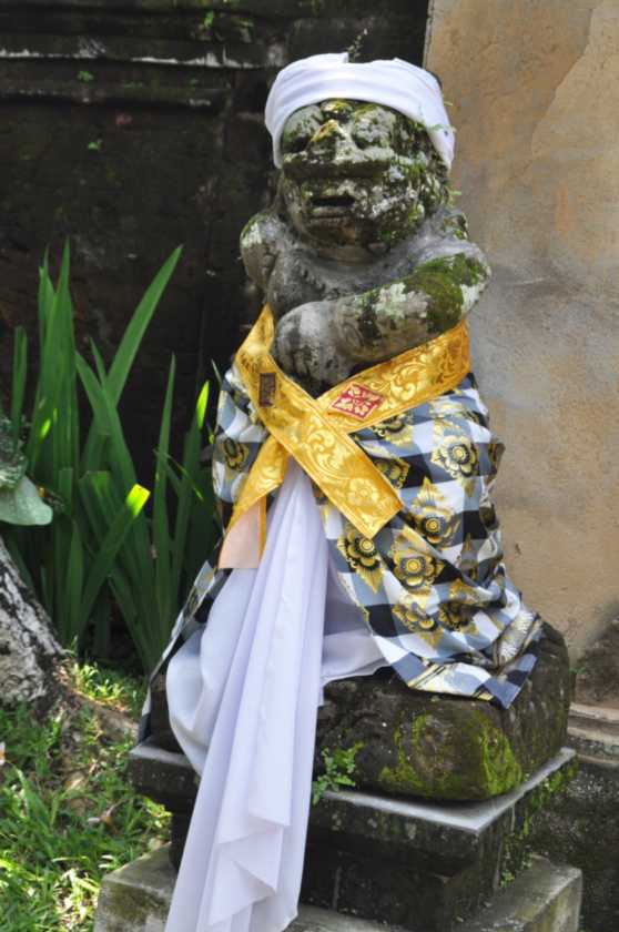 11 indo2010-145