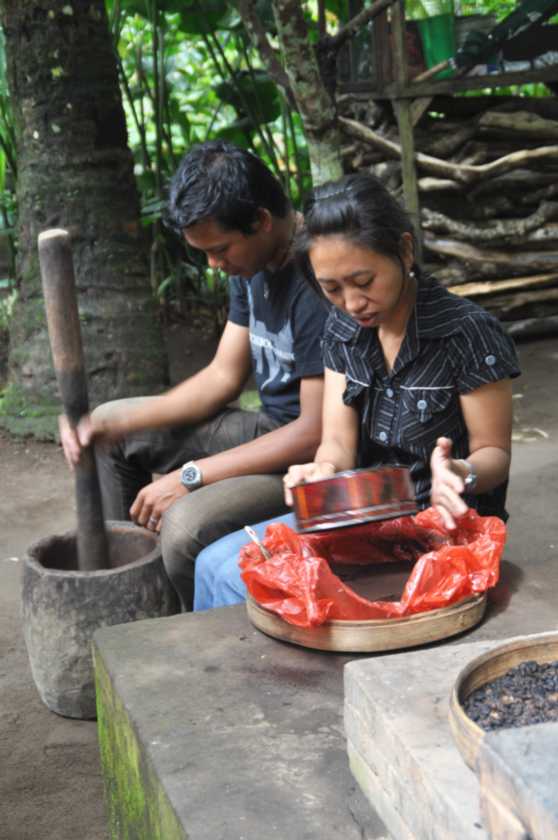 12 indo2010-02